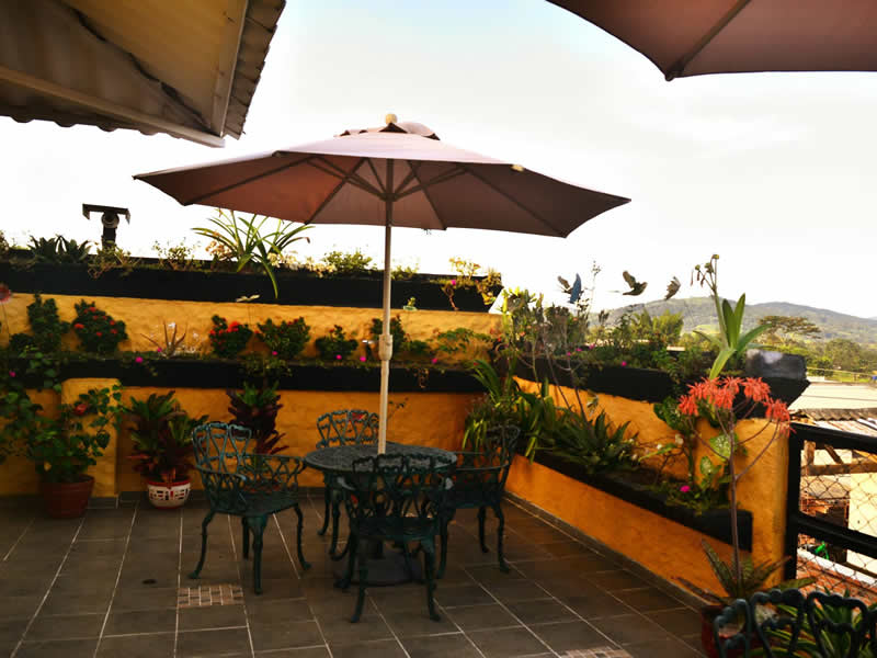 Terraza